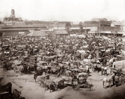 market square